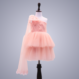 AKO DRESS IN PEACH PINK