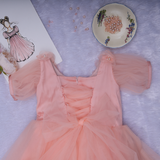 AERYAN GOWN IN PEACH PINK