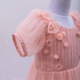 AERYAN GOWN IN PEACH PINK