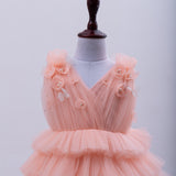 ANDREANNE DRESS IN PEACH PINK